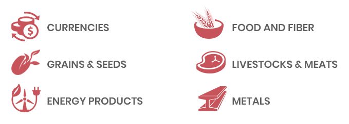 GLOBAL DIVERSIFICATION Icons